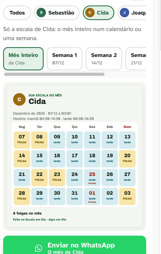 Janela do WhatsApp com os nomes da equipe, o calendário do mês da Cida e o botão Enviar no WhatsApp